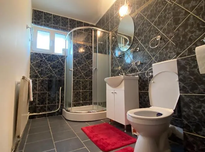 Navigator Cluj-Napoca